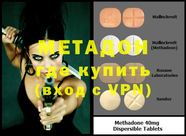 индика Аркадак
