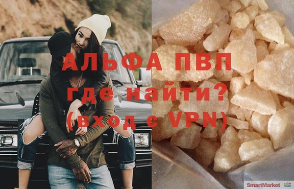 индика Аркадак