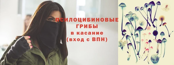индика Аркадак