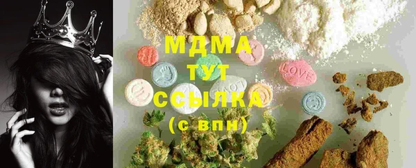 индика Аркадак