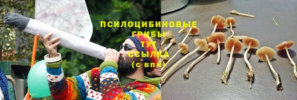 jwh Арсеньев
