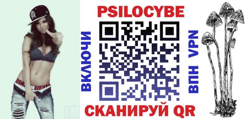 Купить  Рославль  Псилоцибиновые грибы Psilocybine cubensis 